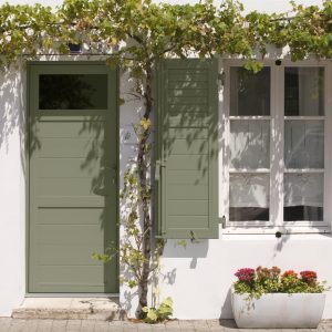 grapes growing at the front of a typical house at Ile de Ré; La Flotte, France